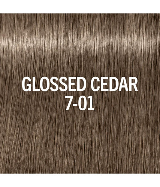 SC BM Acidic Glow Toner - Glossed Cedar