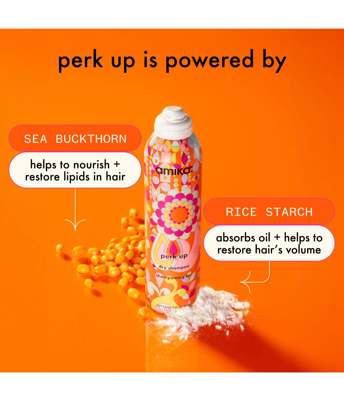 Amika Perk Up Dry Shampoo 189ml