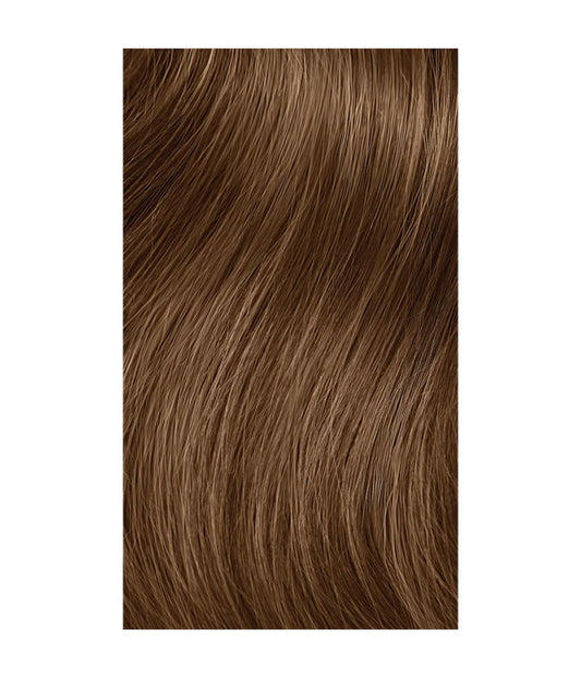 PM The Demi 6CH